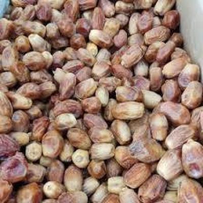 خرما خشک اعلا فله